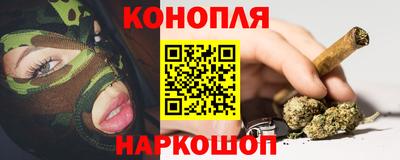 spice Бердск