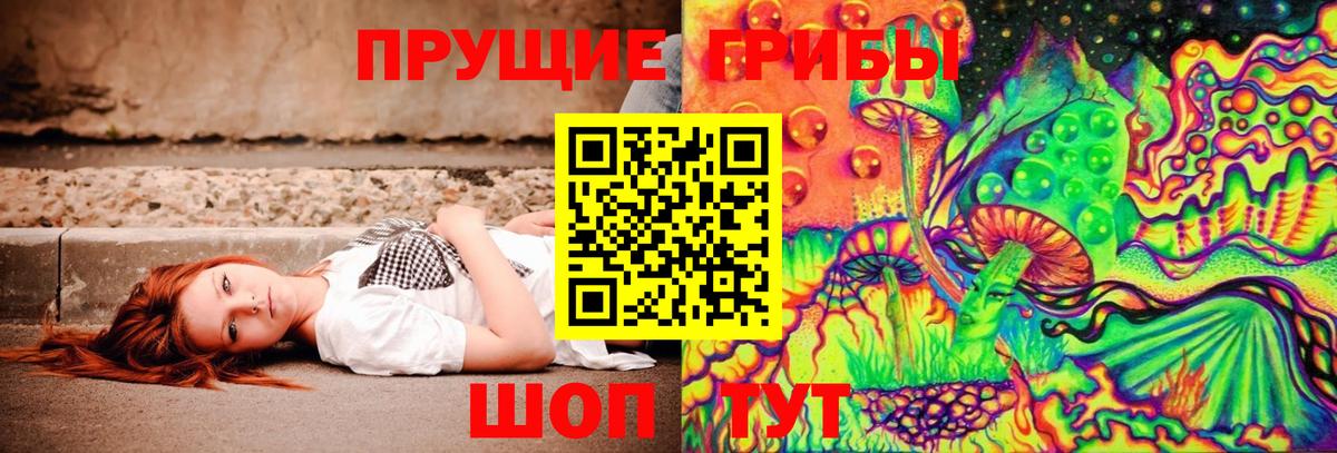 Аша  Псилоцибиновые грибы мицелий  Вход с VPN 
